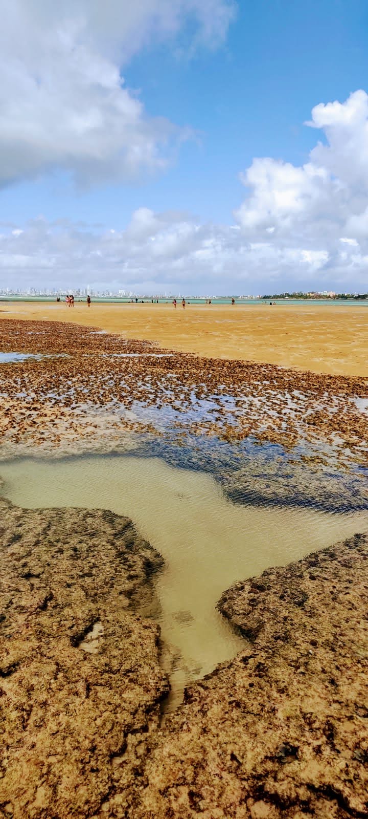 Ilha De Areia vermelha - mídia 5